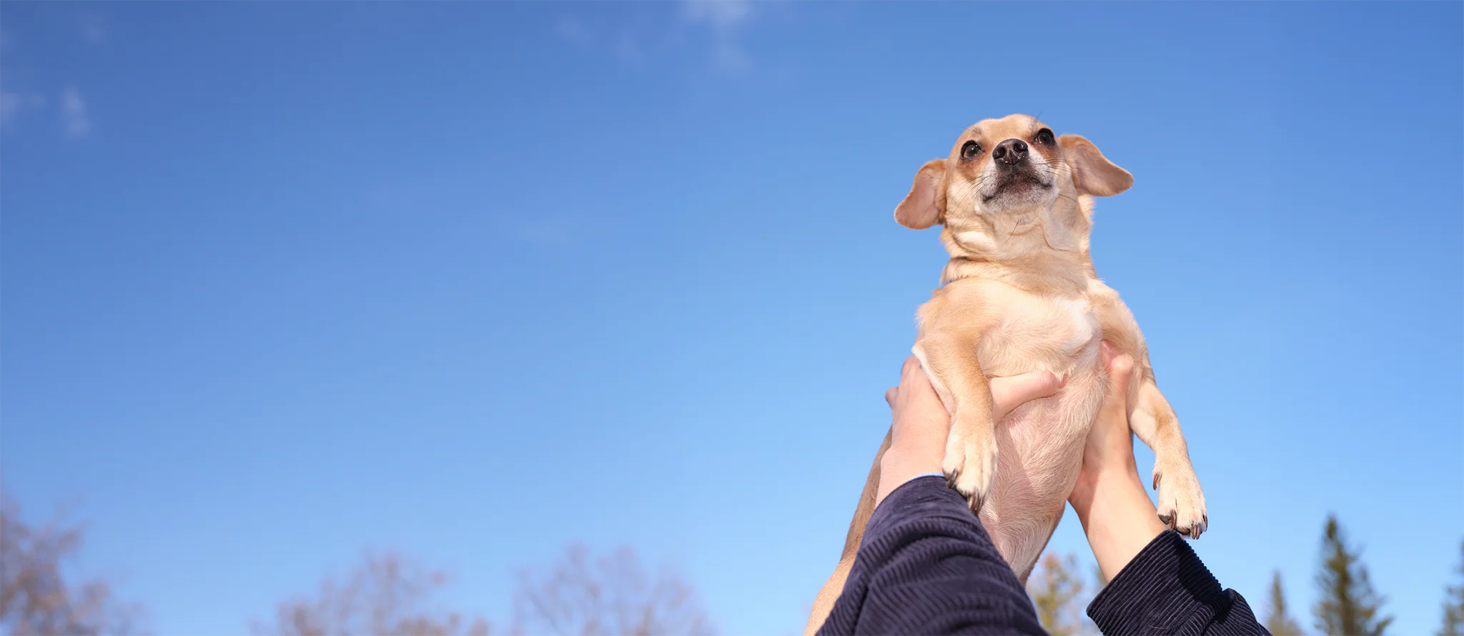Better Health For Best Friends
